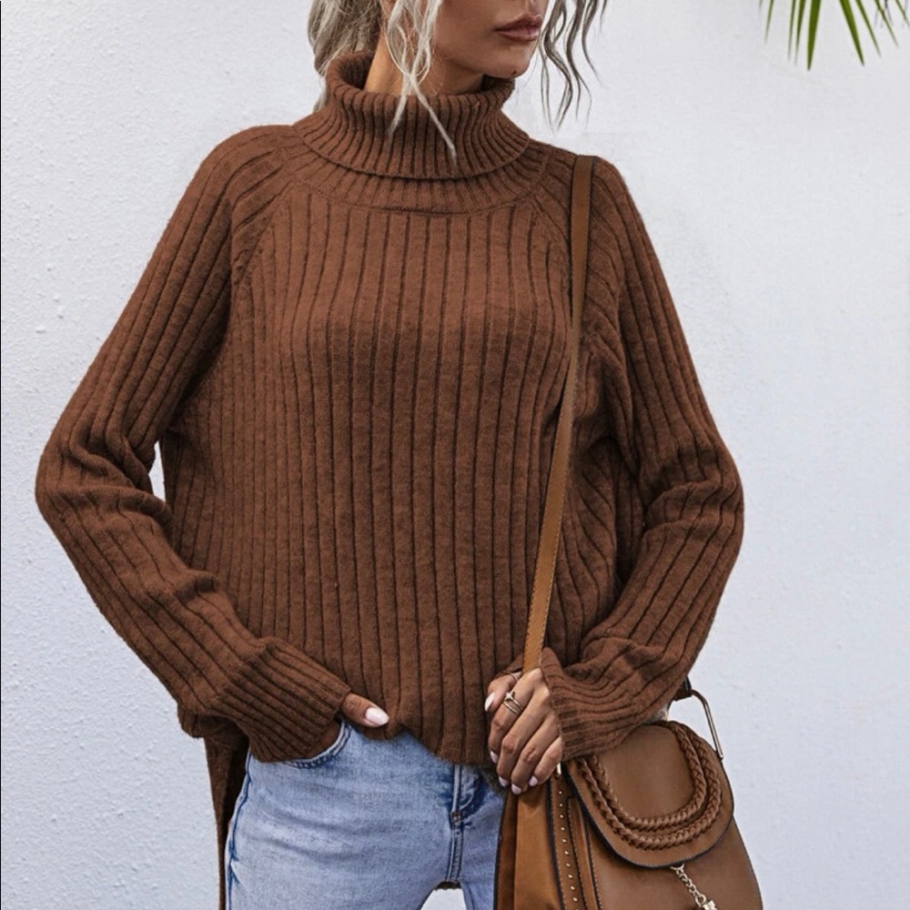 Rust brown turtleneck sweater